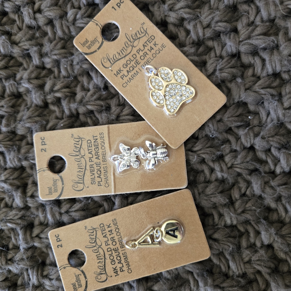 Charming Charms Gold and Silver Plated Set